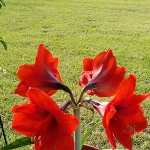 Meet your Posher, Deb